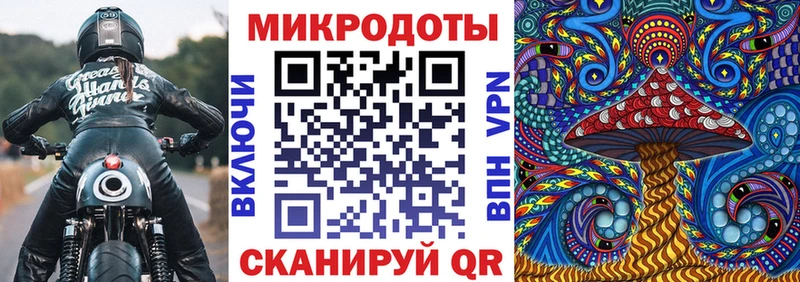 Купить  Лагань  Галлюциногенные грибы GOLDEN TEACHER 