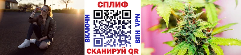 Бошки Шишки MAZAR  Купить  Лагань 